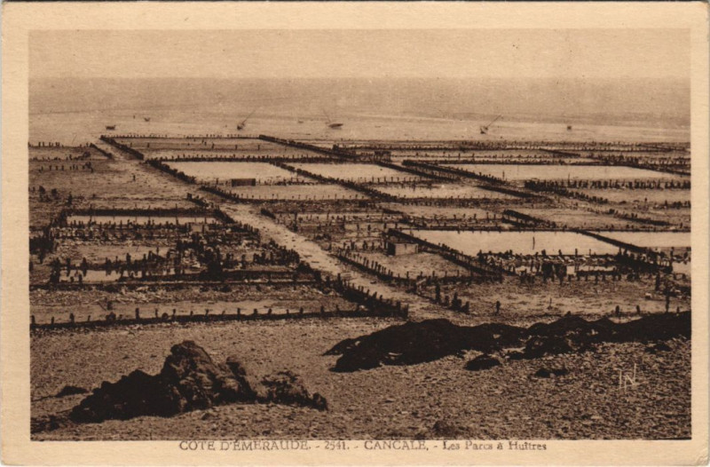 Carte postale ancienne Cancale Les Parcs a Huitres à Cancale