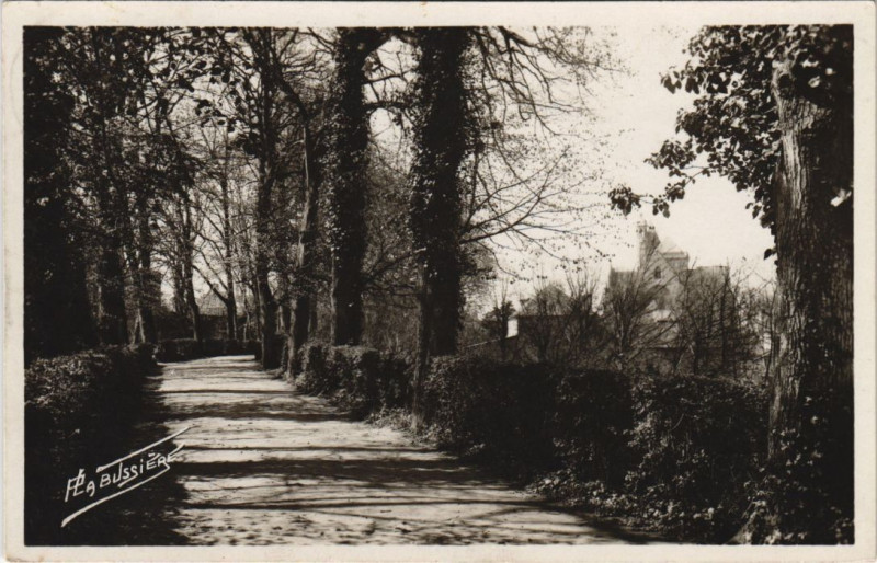 Carte postale ancienne Dol-de-Bretagne Les Douves à Dol-de-Bretagne