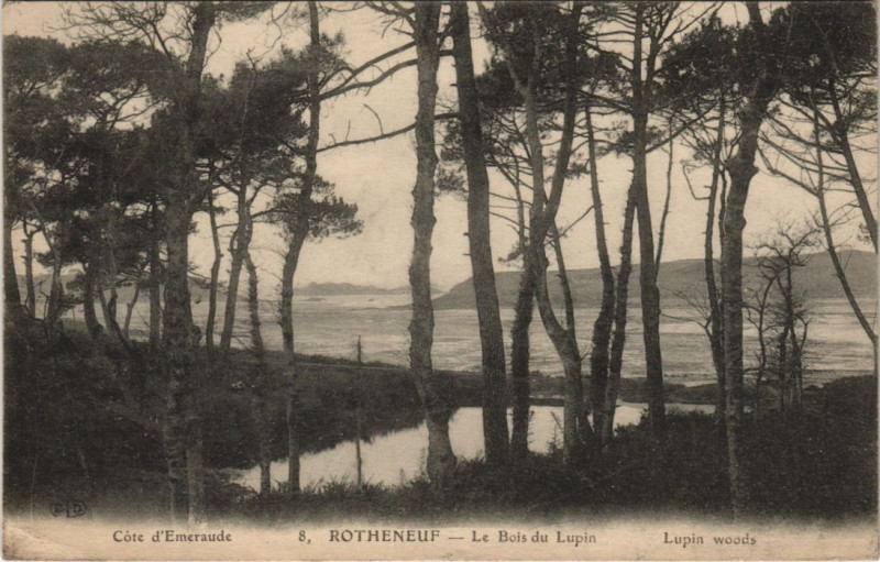 Carte postale ancienne Rotheneuf Le Bois du Lupin