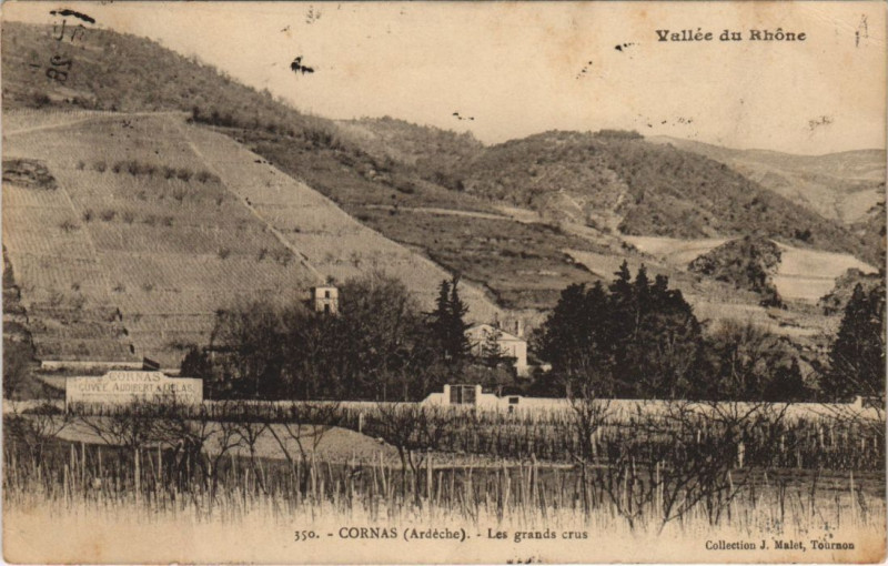 Carte postale ancienne Cornas Les grands crus à Cornas