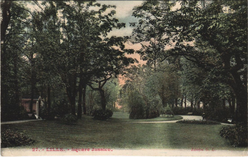 Carte postale ancienne Lille Square Jussieu à Lille