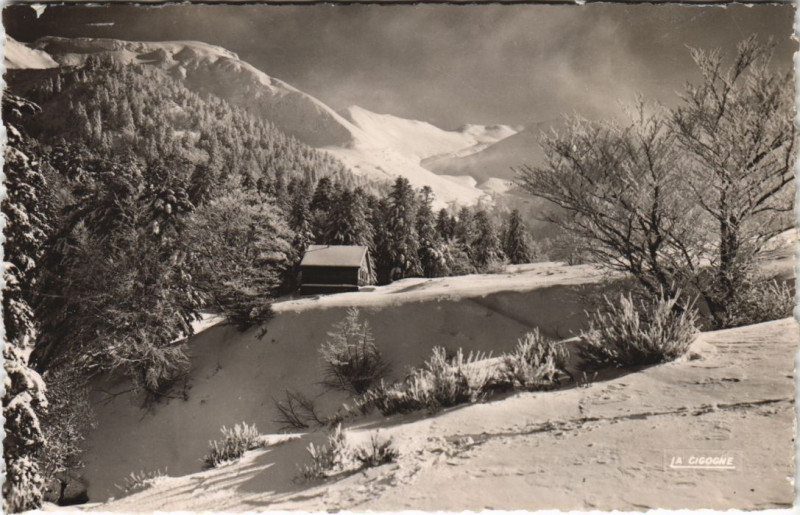 Carte postale ancienne Le Mont-Dore Le Refuge du Club Alpin Francais à Mont-Dore