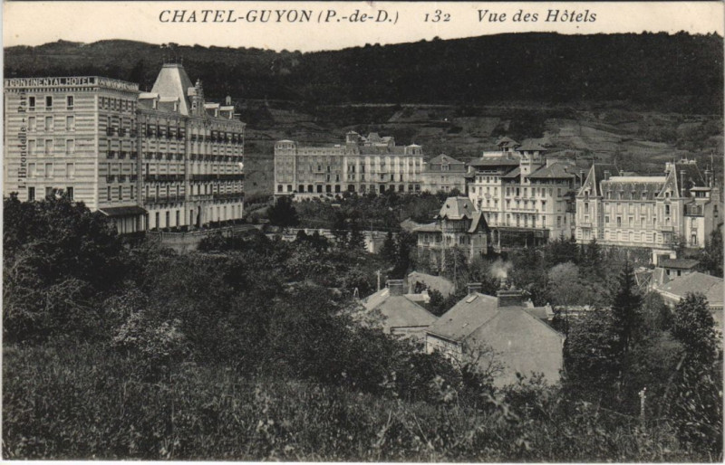 Carte postale ancienne Chatel-Guyon Vue des Hotels