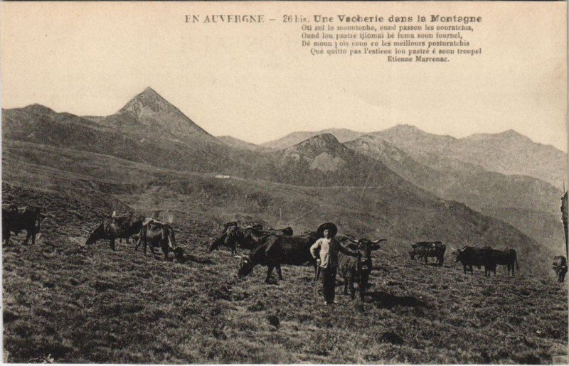 Carte postale ancienne Une Vacherie dans la Montagne