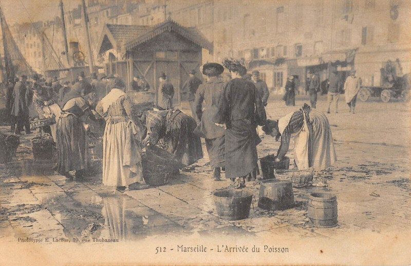 Carte postale ancienne Marseille Arrivee Du Poisson à Marseille