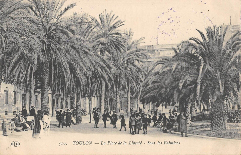 Carte postale ancienne Toulon La Place De La Liberte Sous Les Palmiers à Toulon
