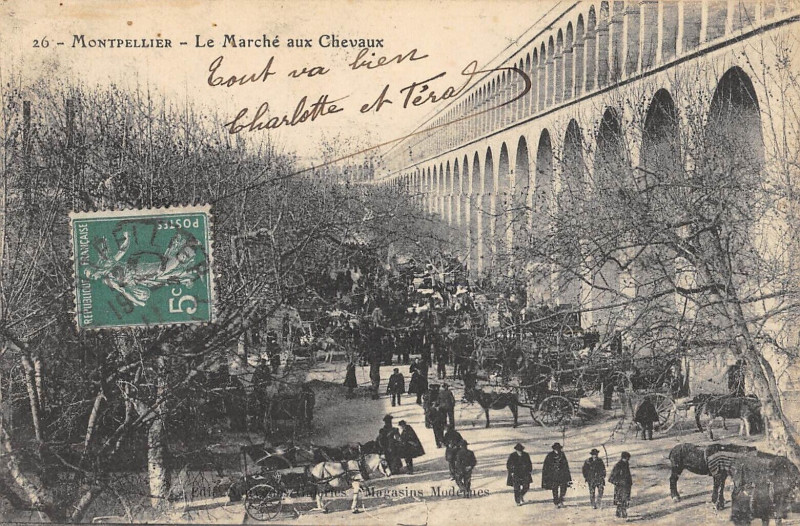 Carte postale ancienne Montpellier Le Marche Aux Chevaux à Montpellier