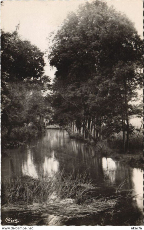 Carte postale ancienne Theil-sur-Vanne La Riviere la Vanne