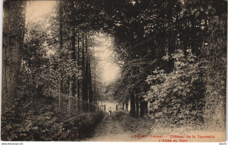Carte postale ancienne Leugny Chateau de la Tournelle - L'Allee du Parc à Leugny
