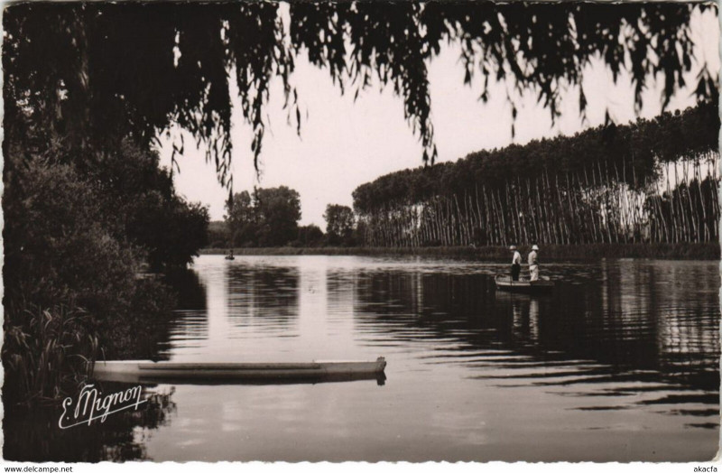 Carte postale ancienne Veron Les Bords de l'Yonne
