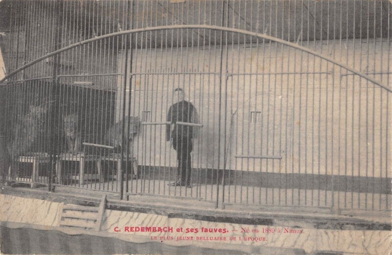 Carte postale ancienne C.redembach Et Ses Fauves Ne En 1889 A Nimes Le Plus Jeune Belluaire De L