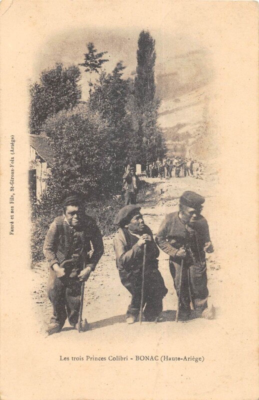 Carte postale ancienne Bonac Les Trois Princes Colibri