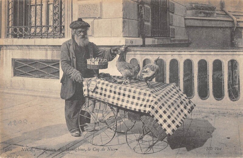 Carte postale ancienne Nice Zappa Dit Meneghino Le Coq De Nice