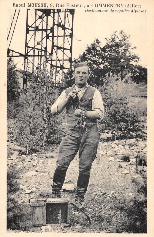Carte postale ancienne Raoul Moussu Rue Pasteur A Commentry Destructeur De Reptiles Diplome à Commentry