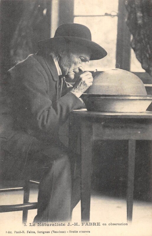 Carte postale ancienne Le Naturaliste J.h.fabre En Observation