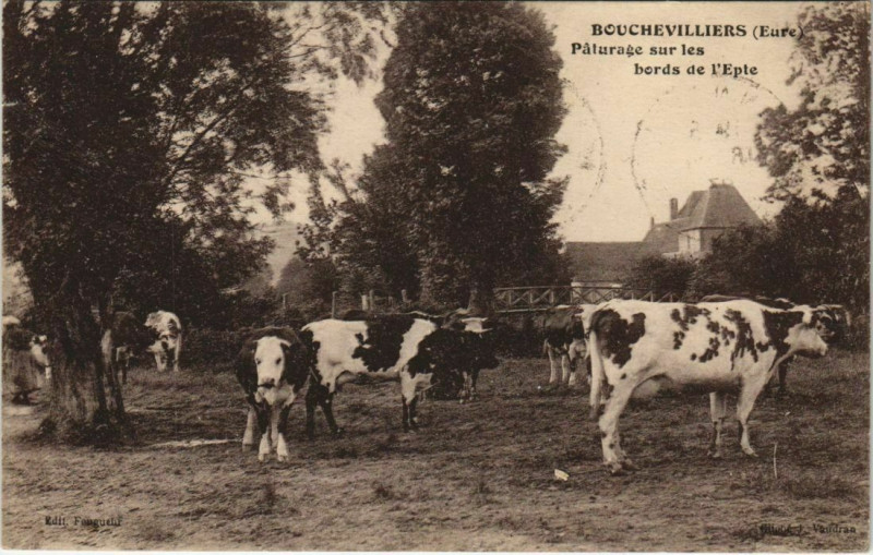 Carte postale ancienne Bouchevilliers - Paturage sur les bords de l'Epte à Bouchevilliers