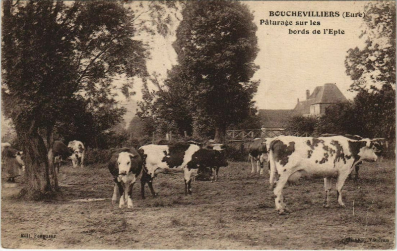 Carte postale ancienne Bouchevilliers - Paturage sur les bords de l'Epte à Bouchevilliers
