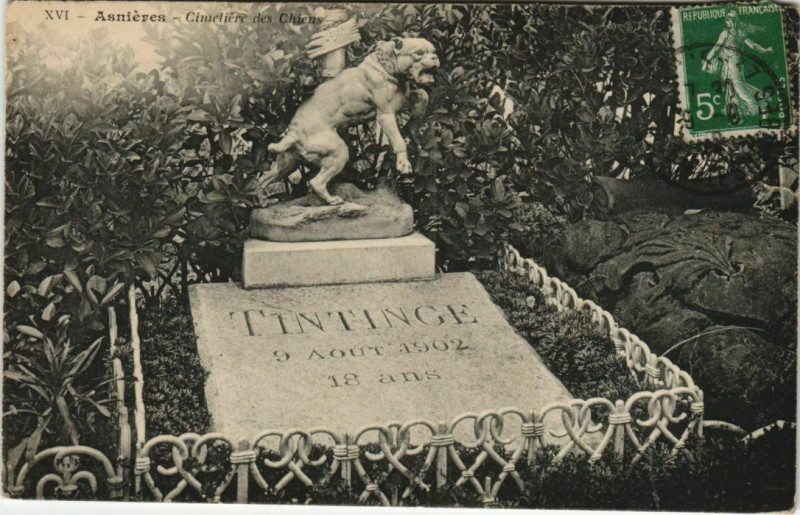 Carte postale ancienne Asnieres Cimetiere des Chiens