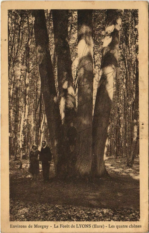 Carte postale ancienne Lyons-la-Foret Foret de Lyons - Les Quatre Chenes - Env de Morgny à Morgny