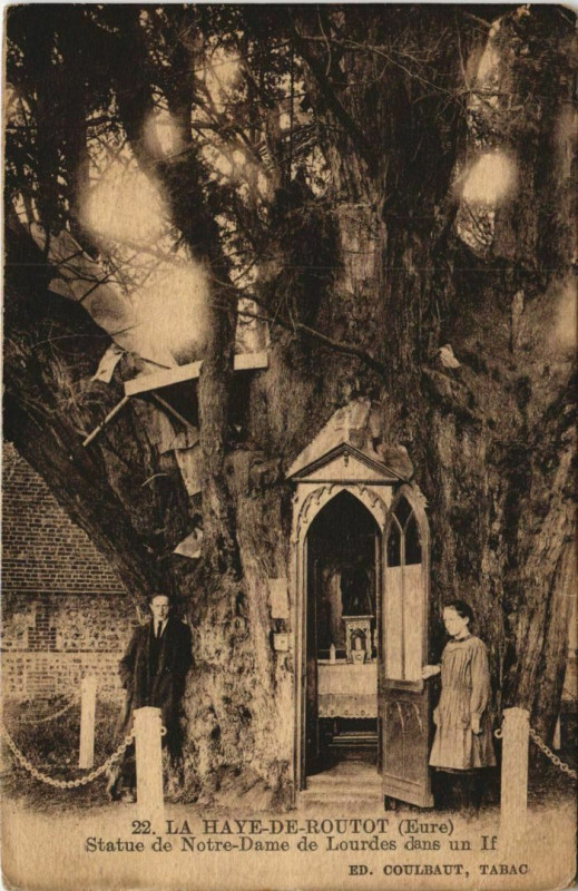 Carte postale ancienne La Haye-de-Routot Statue de Notre-Dame de Lourdes dans un If à La Haye-de-Routot