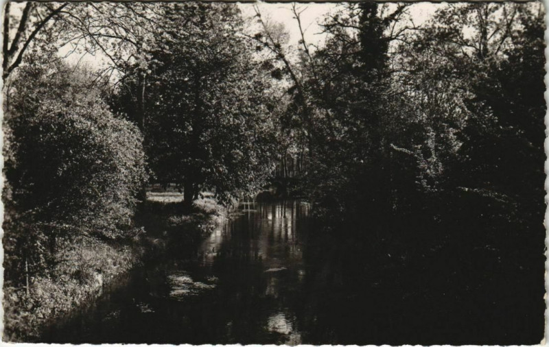 Carte postale ancienne Marcilly-sur-Eure Vue Ombragee sur le Couenon à Marcilly-sur-Eure