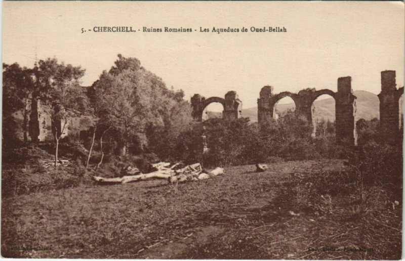 Carte postale ancienne Cherchell Ruines Romaines - Les Aqueducs de Oued-Bellah