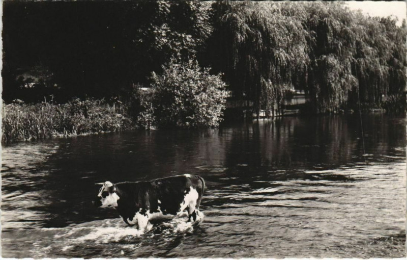 Carte postale ancienne Pacy-sur-Eure Paysage sur l'Eure à Pacy-sur-Eure