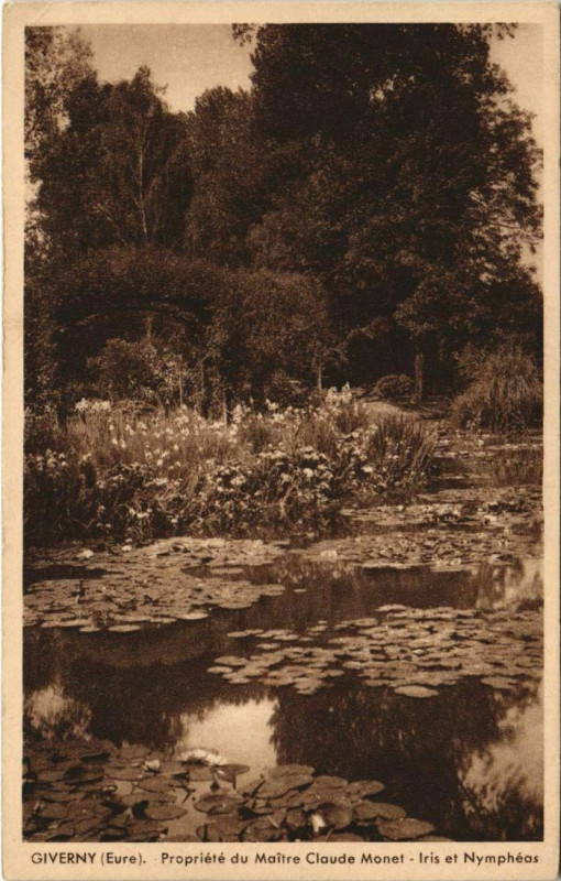 Carte postale ancienne Giverny Propriete du Maitre Claude Monet - Iris et Nympheas à Giverny