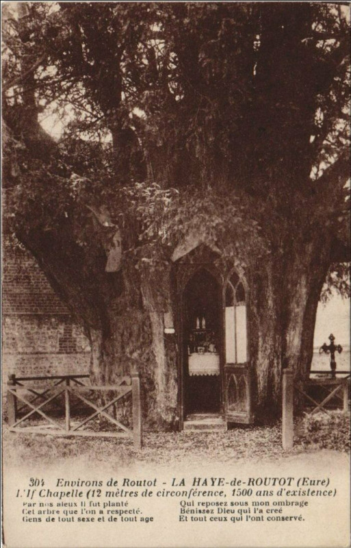 Carte postale ancienne La Haye-de-Routot Chapelle - Environs de Routot à La Haye-de-Routot