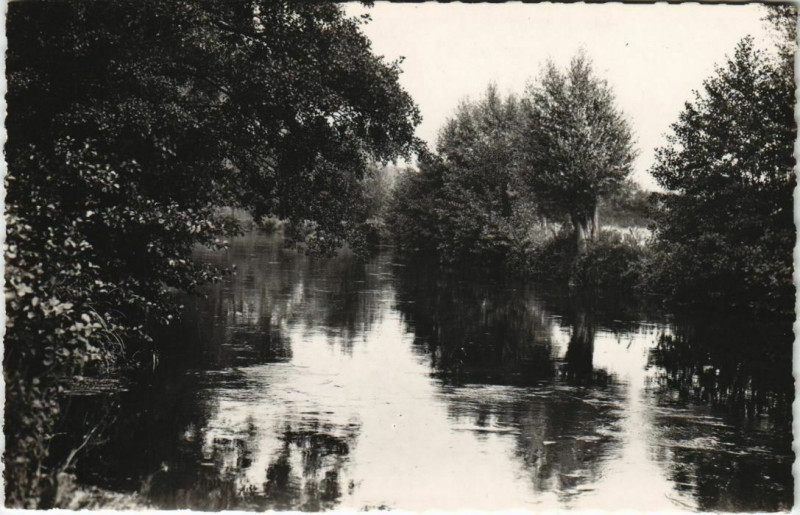 Carte postale ancienne Pacy-sur-Eure Paysage sur l'Eure à Pacy-sur-Eure
