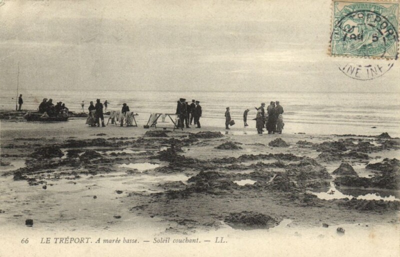 Carte postale ancienne Le Treport A marée basse - Soleil couchant