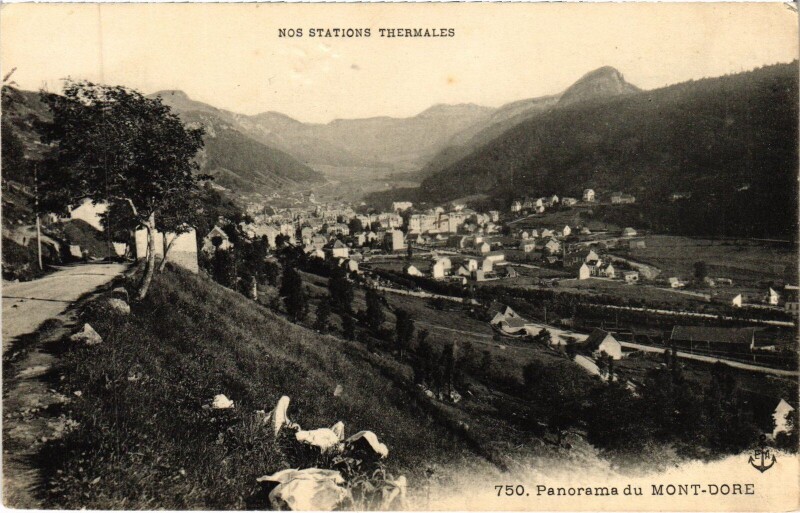 Carte postale ancienne Le Mont-Dore Panorama du Mont-Dore à Mont-Dore