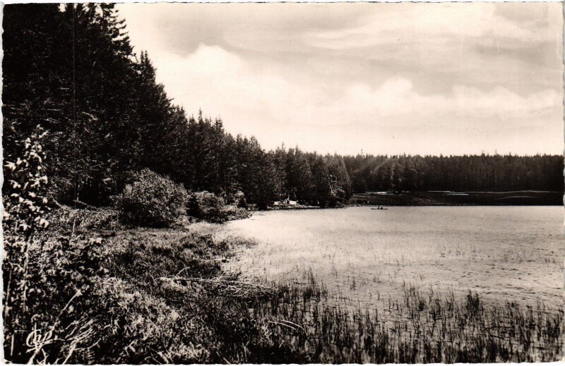 Carte postale ancienne Lac Serviere