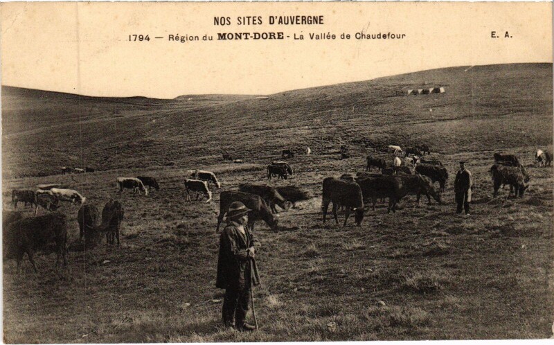 Carte postale ancienne Le Mont-Dore Region - La Vallee de Chaudefour à Mont-Dore