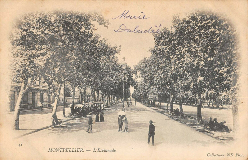 Carte postale ancienne Montpellier L'Esplanade à Montpellier