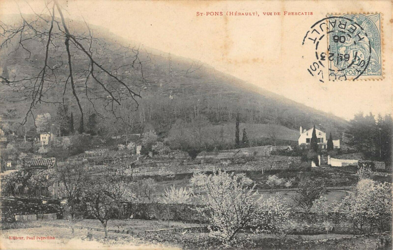Carte postale ancienne Saint Pons Vue De Frescati
