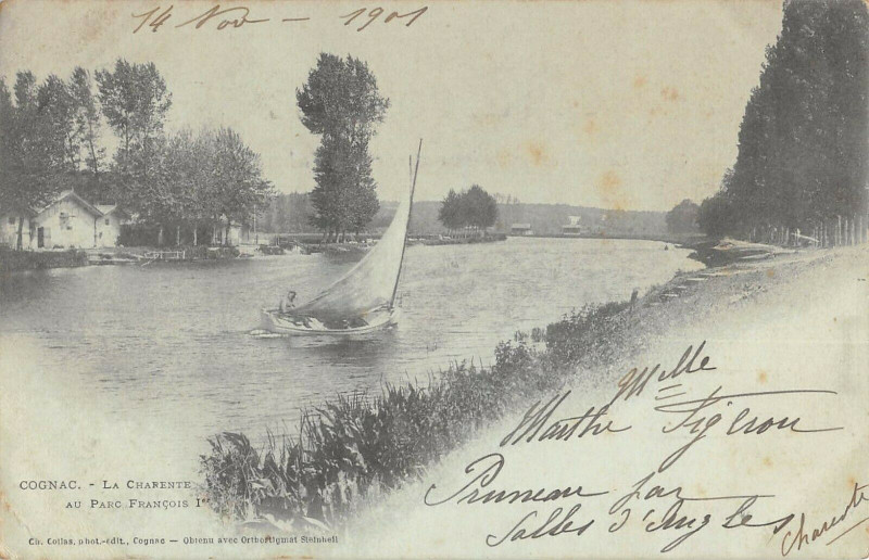 Carte postale ancienne Cognac La Charente Au Parc Francois 1ER à Cognac