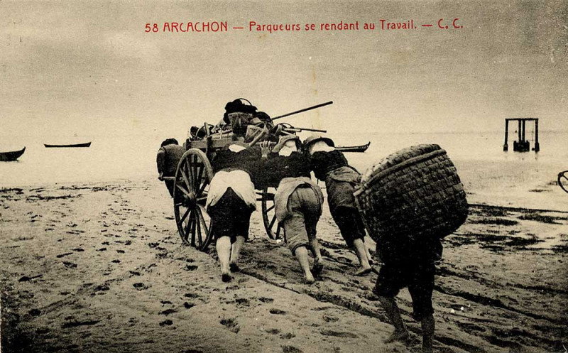 Carte postale ancienne Arcachon - Parqueurs se rendant au travail