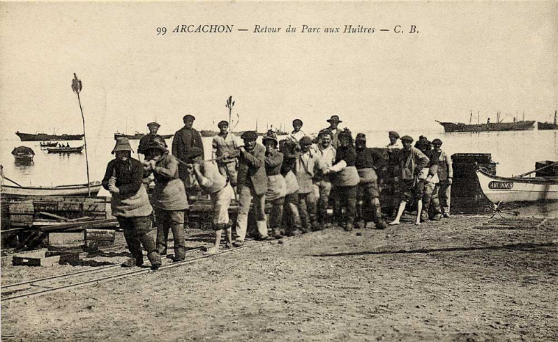 Carte postale ancienne Arcachon - retour du parc aux huitres