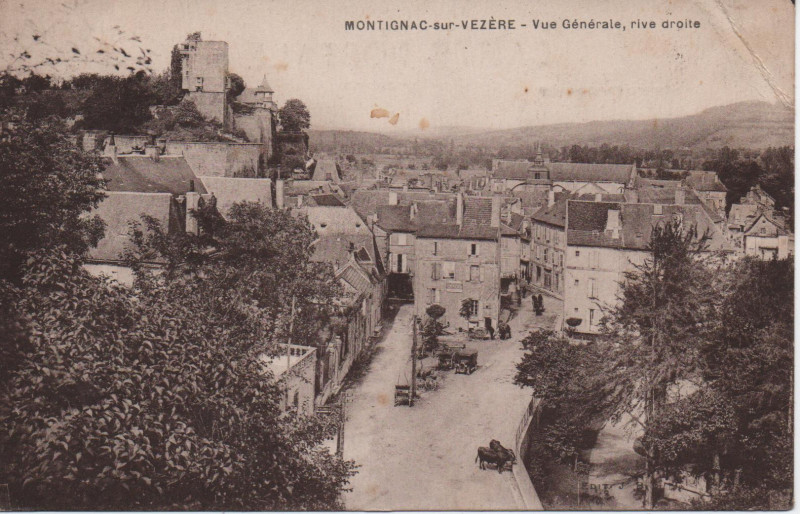 Carte postale ancienne Vue générale, rive droite à Montignac