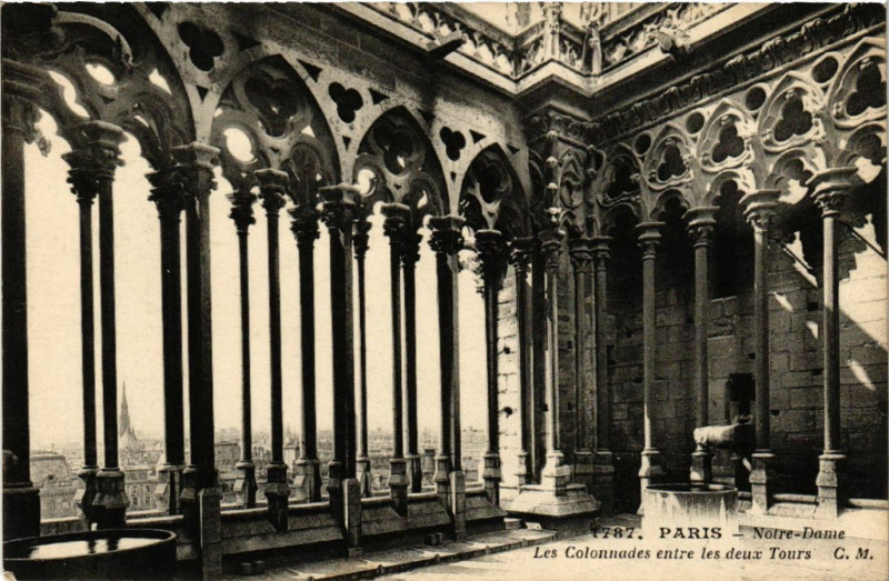 Carte postale ancienne Paris 4e Notre-Dame - Les Colonnades entre les deux Tours à Paris 4e