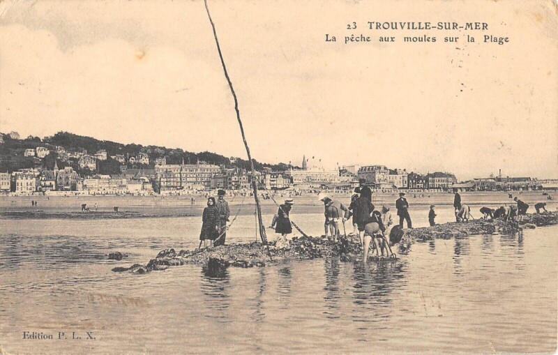 Carte postale ancienne Trouville Sur Mer La Peche Aux Moules Sur La Plage à Trouville-sur-Mer