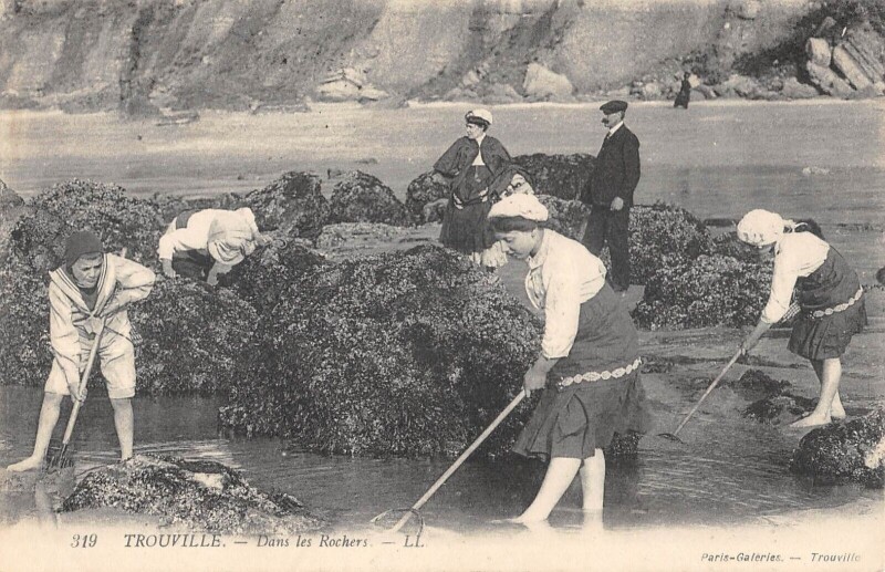 Carte postale ancienne Trouville Dans Les Rochers