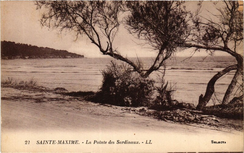 Carte postale ancienne Sainte-Maxime La Pointe des Sardinaux à Sainte-Maxime