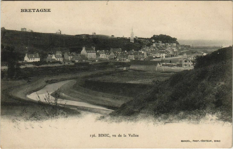Carte postale ancienne Binic vu de la Vallee France