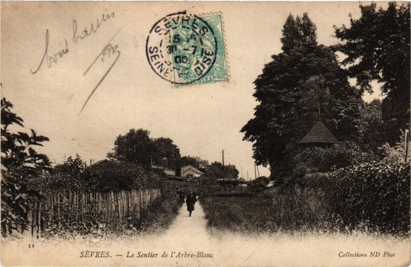 Carte postale ancienne Sevres - Le Sentiner de l'Arbre-Blanc à Sèvres