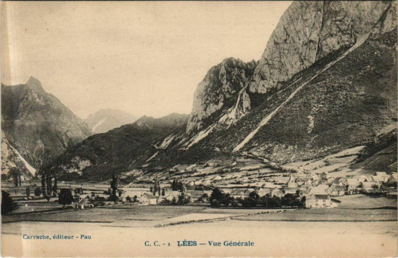 Carte postale ancienne Lees Vue Generale