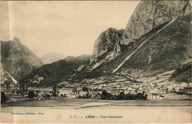 Carte postale ancienne Lees Vue Generale