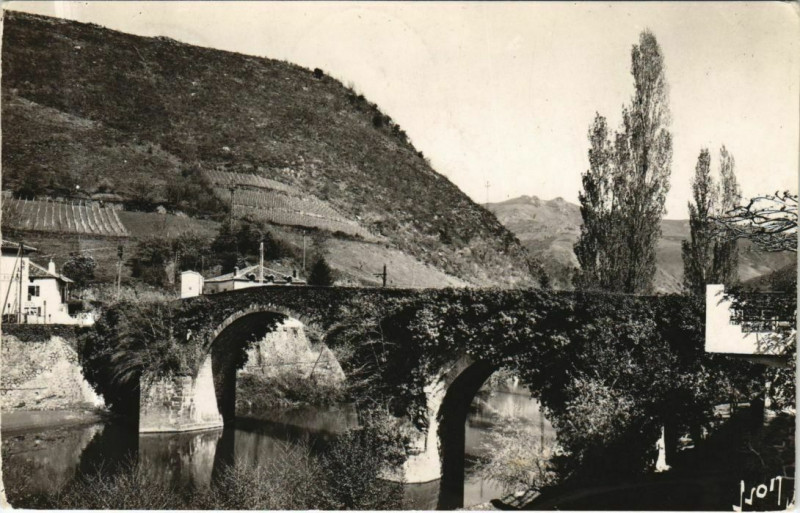 Carte postale ancienne Bidarray Le Pont Noblia et l'Hotel Noblia à Bidarray