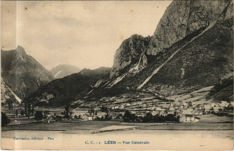 Carte postale ancienne Lees Vue Generale